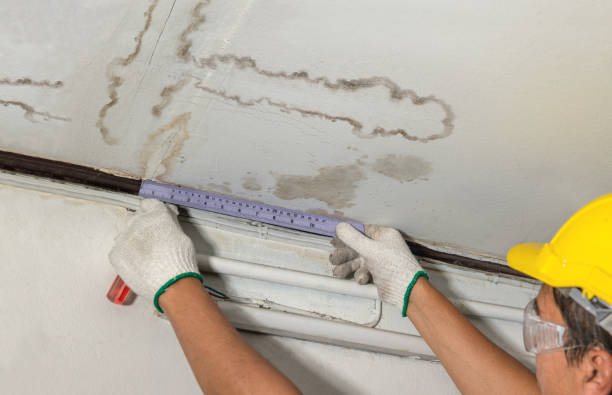 Reliable Structural Drying contractor in Otisville, MI by Water Damage Irwin
